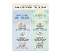 Dopamine Serotonin Neurotransmitters Science Poster Brain Chemistry Learning Chart Psychology Student Gift Home Office Art(Framed,08x12inch(20x30cm))