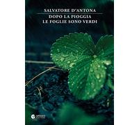 Dopo la pioggia le foglie sono verdi