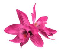 Doppia Accessori per Capelli Fiore Per Bambini E Adulti Clip Di Capelli Fiore Forcina Adatto Per Vari Impianti