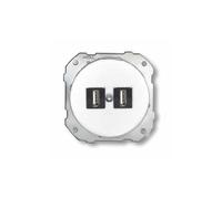 Doppia presa USB porcellana bianca