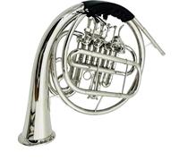 Doppio corno francese diviso corno francese 4 tasti Sib Tuning F Tuning ottone placcato strumento musicale con custodia accessori
