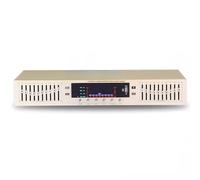 Doppio Equalizzatore Grafico A 10 Bande, Equalizzatore Stereo Bluetooth, Regolazione Frequenza Alta/media/bassa, Con Display Spettro Musicale A LED, Montaggio Su Rack 1U(Gold)