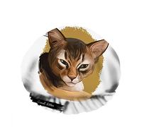 Doppio impermeabileCuffia da a da bagno Gatto Gattino Gattino blu a pelo lungo Isolato Riutilizzabile Moda Cappello da a per donna Bellezza, BathHair Spa, Home Hotel Travel Use