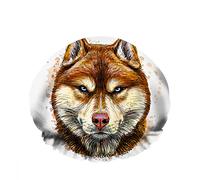 Doppio impermeabileCuffia da a da bagno Testa di animali selvatici Colore chiaro feroce Cappello da a di moda riutilizzabile selvaggio per le donne Bellezza, BathHair Spa, Home Hotel