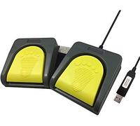 Doppio pedale USB pedale Pc interruttore a pedale - pedale trascrizione - pulsante Usb - doppio pedale pedale gioco