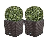 Doppio set di vaso Rato 32 litri con portavaso da piantare in colore cioccolato 33 x 33 x 33 cm + sfera da boj diametro 36 cm