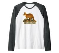 DORCOPSIS Study Marsupiale Forestale Storia Naturale Maglia con Maniche Raglan