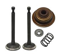 DORFEY Kit di bloccaggio della guarnizione dello stelo della valvola di aspirazione e scarico del decespugliatore adatto for H0-nda GX35 GX35NT HHT35S, decespugliatore a benzina con motore piccolo