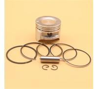 DORFEY Kit di fasce elastiche for spinotto pistone da 39 mm, adatto for decespugliatore, tagliabordi, decespugliatore h0-n-d-a GX35 GX 35 GX35NT HHT35S UMK35 a benzina a 4 tempi.