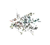 Dorian Concept - Joined Ends Remix (2 LP)