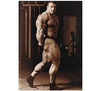 Dorian Yates - Il miglior bodybuilder inglese Mr Olympia Stampa poster su tela-60x80cm Senza cornice