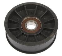 Dorman 419613 Puleggia tendicinghia per cinghia di trasmissione accessoria compatibile con modelli selezionati