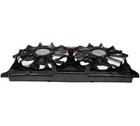 Dorman 621-619 - Gruppo ventola doppia con motori brushless per modelli Select Cadillac/Chevrolet/GMC, confezione da 1