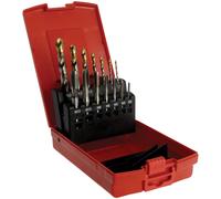 Dormer L115101 A002 Punte & E500 HSS Mc Tap Set