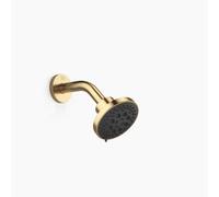 Dornbracht douche de tête, projection 155 mm, 28505979-28, 28505979-28, Colorazione: ottone spazzolato