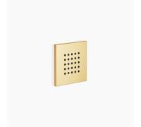 Dornbracht WaterPoints UP douche latérale, 36515979-28, 36515979-28, Colorazione: ottone spazzolato