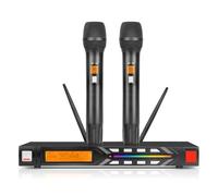 Doslnlya NG-99 - Sistema di microfoni wireless con due microfoni in metallo, UHF, portatile, wireless, con bobina mobile, per karaoke, conferenze, feste, chiesa, DJ, matrimoni