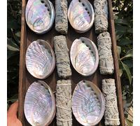 Dotato di set di bruciatore, salvia bianca e palo santo, di dimensioni circa 10 cm/3,94 pollici, ideale per guarigione, purificazione, meditazione fumosa e rimozione di energia negativa Bruciatore+Sal