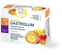 Gastrolum cagnola 14 stick da 10ml