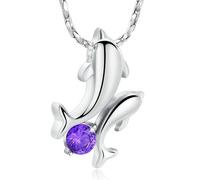 DOTUIARG Collana con urna per ceneri, gioielli cremazione di delfini, ciondolo in cenere in acciaio inossidabile per donne, uomini Gioielli commemorativi di cristalli