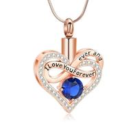 DOTUIARG Cuore Urna Collana per Ceneri per Le Donne Amore Memorial Ciondolo Cremazione Gioielli Animale Domestico Umano Cenere Titolare Keepsake