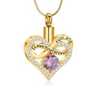 DOTUIARG Cuore Urna Collana per Ceneri per Le Donne Amore Memorial Ciondolo Cremazione Gioielli Animale Domestico Umano Cenere Titolare Keepsake
