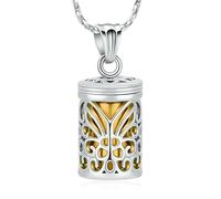 DOTUIARG Gabbia di farfalla Cremazione Gioielli Cilindro Collana per le ceneri Ciondolo commemorativo per le donne