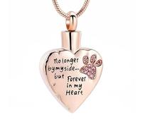 DOTUIARG Non più al mio fianco ma per sempre nel mio cuore Gioielli per cremazione per cenere Collane in acciaio inox per petpaw Keepsake Urna commemorativa