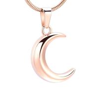 DOTUIARG Sei la mia collana di luna, cenere e ricordo per animali umani, gioielli per cremazione, regalo per donne, collana femminile