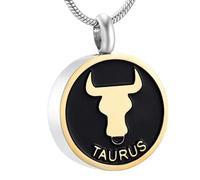 DOTUIARG Stainless Steel La collana commemorativa per le ceneri Braccialetto Urna Gioielli souvenir