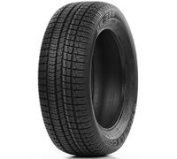 DOUBLECOIN Gomme Doublecoin Dw 300 225 60 R18 104V TL Invernali per Fuoristrada