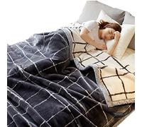 Double Coral Fleece Blanket Winter Thick Fleece Blanket Quilt Bed Cover Blanket Sheet (Color : B Size : 150 * 200cm)