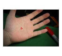 Double Cross 4.0 Trucco magico espediente inchiostro trasferimento trucchi magici puntelli mago Street Props (rosso)
