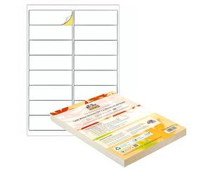 Double Dragon, Etichette Adesive A4 per Indirizzi, Carta Adesiva, 16 Etichette per Foglio, 100 Fogli, 99.1 x 34mm (1600 Etichette)