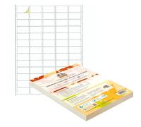 Double Dragon, Etichette Adesive A4 per Indirizzi, Carta Adesiva, 65 Etichette per Foglio, 100 Fogli, 38.1 x 21.2mm (6500 Etichette)
