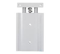 Double Rod Pneumatic Cylinder | 2X Output Force & High Accuracy | Guided Pneumatic Slide for Industrial Automation/CNC Machines/Packaging | 10-100mm Stroke, 1.0 MPa, (CXSM10-20)