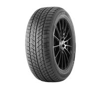 DOUBLESTAR DW09 WINTERKING 235/55 R17 99 T M+S Pneumatico Invernali Gomma