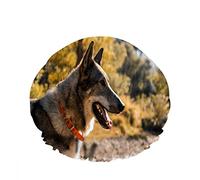 Double WaterproofCuffia da a da bagno Summer Time Grey Pet Dog Side Face Doodle Riutilizzabile Fashion Shower Hat For Women Beauty, BathHair Spa, Home Hotel Travel Use