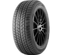 DOUBLESTAR DW09 WINTERKING 245/45 R18 96 T M+S Pneumatico Invernali Gomma