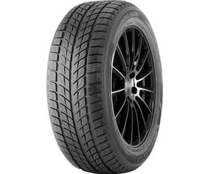 DOUBLESTAR DW09 WINTERKING 275/40 R20 106 V M+S Pneumatico Invernali Gomma