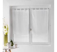douceur d'Intérieur Dandy, set di due tende con passanti, 2 x 60 x 160 cm, tende in voile fil coupé Dandy in poliestere 160 x 60 cm, Poliestere, bianco, 160x60x1 cm