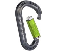 DOUDINGMAO Arrampicata Moschettone Blocco Moschettone Professionale A Forma di D Gancio Chiave Arrampicata Moschettone Strumento Outdoor Heavy Dutys Moschettone Clip Portachiavi Clip Gancio Fibbia