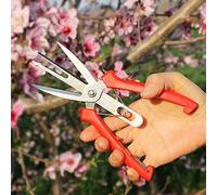 DOUFAN Forbici per sfoltire Frutta e Fiori a Doppia Porta, Forbici per potatura da Giardino con Impugnatura Comoda, perfette per Tagliare Piante, Erbe idroponiche, Raccogliere Fiori