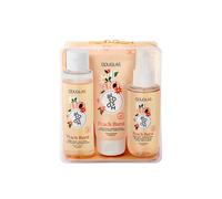 DOUGLAS COLLECTION - Blossom Peach Burst Travel Set Cofanetti regalo 1 pieces unisex
