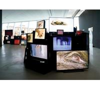 Douglas Gordon. Pretty much every film and video work from about 1992 until now.... Ediz. illustrata