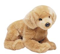 Douglas Honey Golden Retriever Dog Pelusco