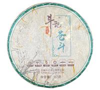 Douji 2019 Cang Dou Tè Pu-Erh Crudo (Sheng) Torta, 357g | Liquore dorato e limpido, ingresso robusto e dominante; corpo denso e oleoso che avvolge il palato con un rapido e duraturo