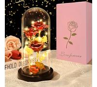 DOUUCO Eterna Rosa Bella e La Bestia, Fiori di Rosa con Luce a LED in Cupola di Vetro Regalo per La Festa della Mamma Valentino Compleanno Anniversario Matrimonio, Idee Regalo per Lei