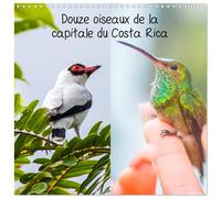 Douze oiseaux de la capitale du Costa Rica (Calendrier mural carré 2027 30x30 cm