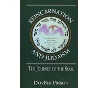 DovBer Pinson Reincarnation and Judaism (Copertina rigida)